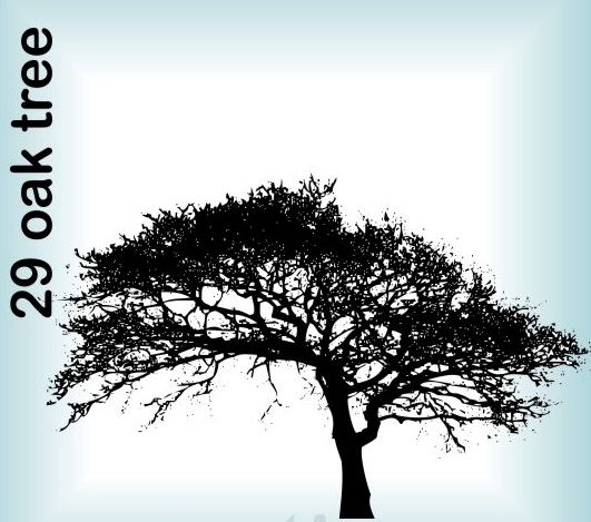 Rubber Stamp Oak Tree ~NEW~ Rubber Stamp Oak Tree ~NEW~